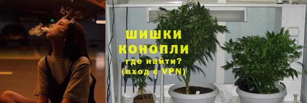 jwh Бородино